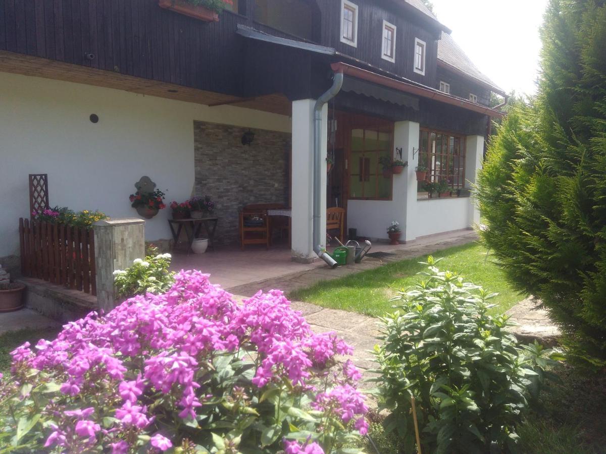 Ubytovani U Sviraku Srbská Kamenice Exteriör bild